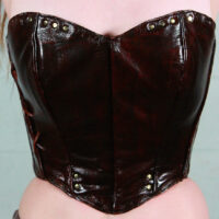 Double-Toothed Kite Corset